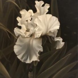 Flower Grisaille
